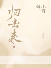 归去来小三怀孕被撞流产第几集