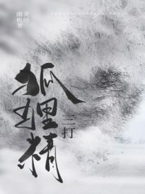 三打狐狸精 幽灵机师
