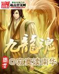 九龙魂阵容推荐