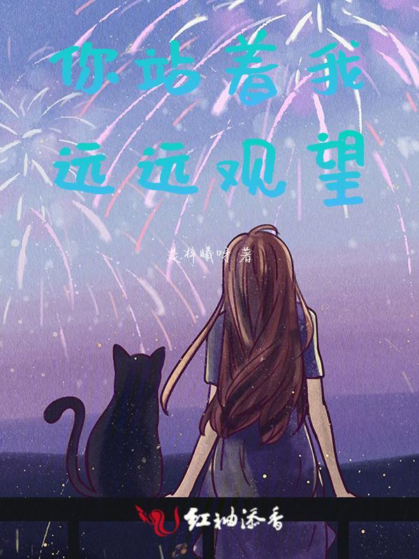 你站在桥上看风景
