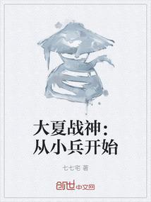 大夏战神陈帆