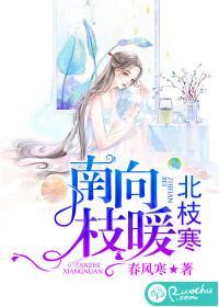 逍遥四公子宁宸雨蝶免费阅读全集目录