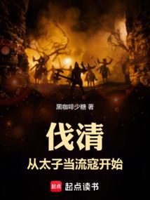 伐清从太子当流寇开始免费