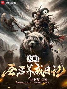 大明圣皇在线阅读