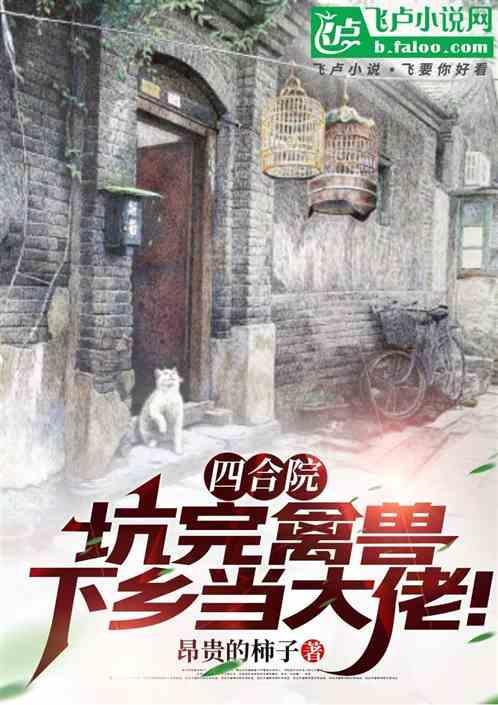 四合院坑王之王