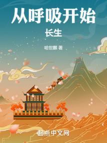 网文之从呼吸法