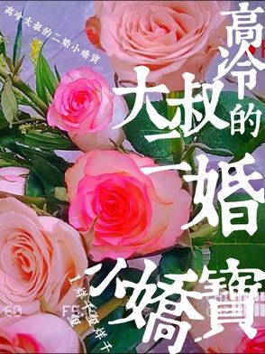 高冷大叔宠