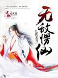 无敌仙婿百度百科
