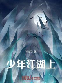 少年江湖攻略