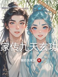 家传九天玄功的简介