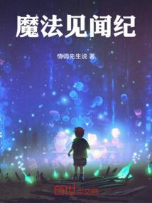 魔法师见闻