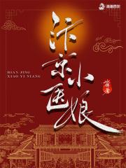 汴京小医娘书评