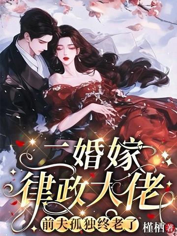 二婚嫁给律师