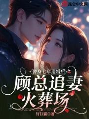 替身总裁追妻