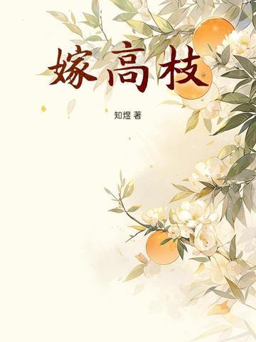 嫁高枝知煜