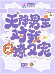 天降男主是什么意思