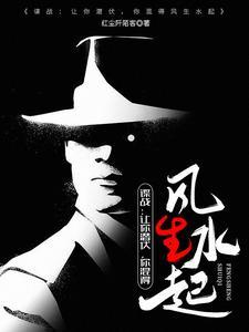 谍战上海滩