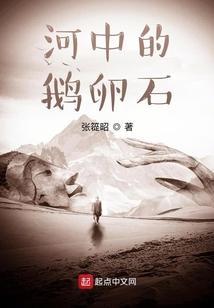 河中的鹅卵石