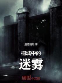 桐城中的迷雾