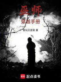 巫师穿越手册