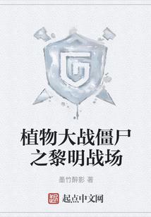 植物大战僵尸之黎明战场