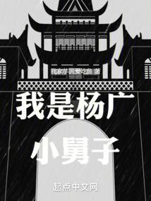 我是杨广小舅子