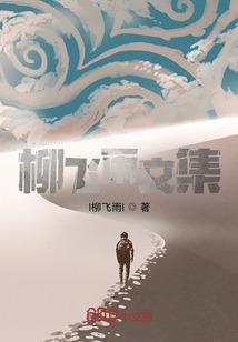 柳飞雨文集