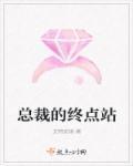 总裁的终点站